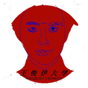 王俊伊大学